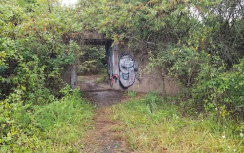 A weathered concrete archway covered in graffiti, surrounded by overgrown greenery and tall grass.