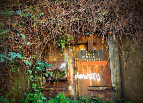 A rusty door covered in vines and graffiti, with a warning sign about explosives visible.
