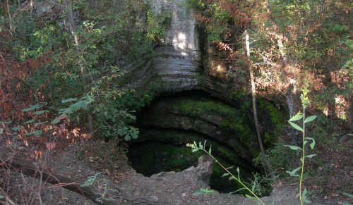 A deep, moss-covered sinkhole surrounded by trees and foliage, with layered rock formations visible in the walls.