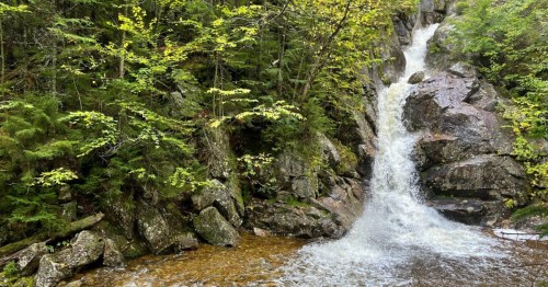 A beautiful waterfall in New Hampshire in a forested setting.