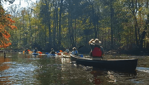 A group of people kayaking on a calm river surrounded by trees in autumn colors.