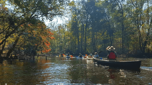 A group of people kayaking and canoeing on a calm river surrounded by colorful autumn trees.