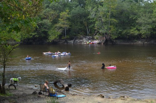 People enjoying a river on inflatable tubes, with trees and a dog nearby on the shore.