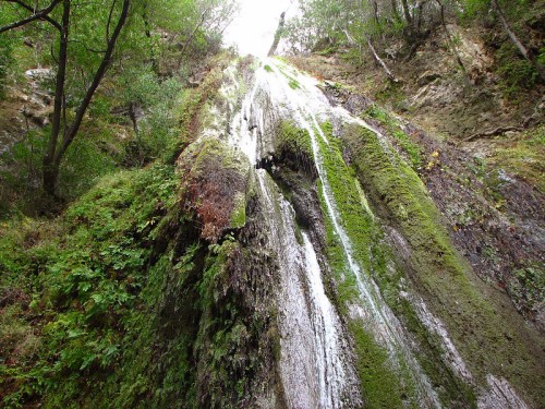 A cascading waterfall flows down a moss-covered rock face, surrounded by lush greenery and trees.