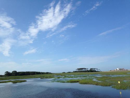 A serene landscape featuring a calm waterway, lush green marshes, and a clear blue sky with scattered clouds.