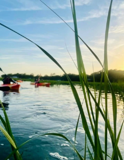 Two kayakers paddle through a calm river, framed by tall grass and a bright sky at sunset.