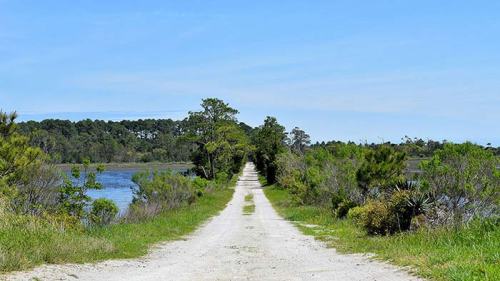 A dirt path lined with greenery leads towards a calm waterway under a clear blue sky.