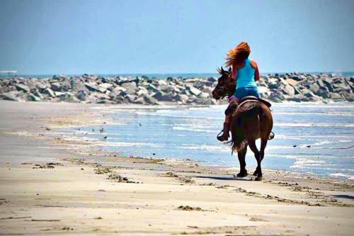 A person rides a horse along a sandy beach, with waves and rocks in the background under a clear blue sky.