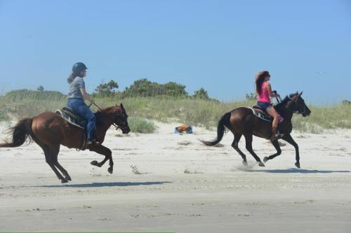 Two riders on horseback gallop along a sandy beach under a clear blue sky. Green dunes are visible in the background.