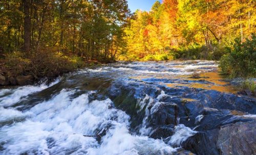 A flowing river cascades over rocks, surrounded by vibrant autumn foliage in a serene forest setting.