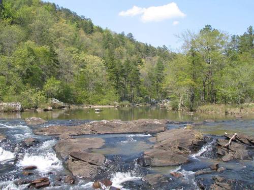 A serene river flows over rocky terrain, surrounded by lush green trees and a clear blue sky.