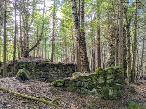 Ruins of a stone structure surrounded by tall trees and dense forest undergrowth. Sunlight filters through the leaves.