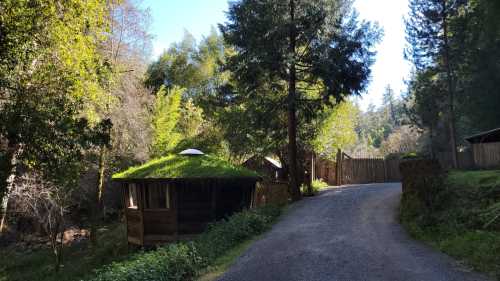 A winding gravel road leads to a rustic cabin with a green, mossy roof, surrounded by trees and nature.