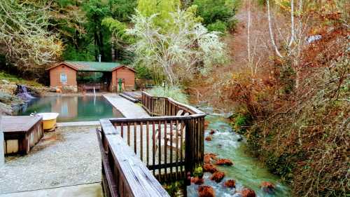 A serene outdoor scene featuring a wooden deck by a natural pool, surrounded by trees and a flowing stream.