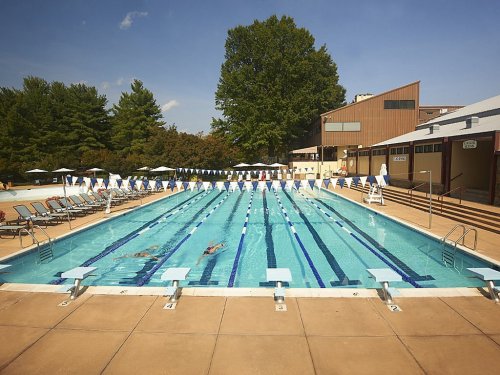 A sunny outdoor swimming pool with lanes marked, surrounded by trees and lounge chairs.