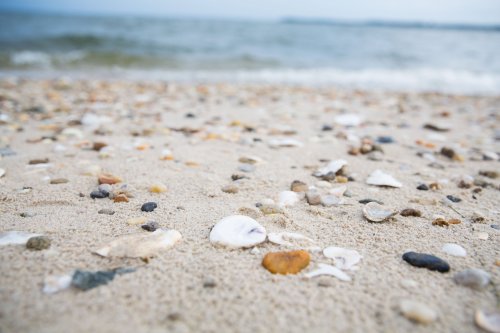 Close-up of a sandy beach scattered with small pebbles and seashells, with the ocean in the background.