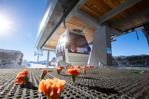 A ski gondola at Palisades Tahoe with flowers scattered on the ground, surrounded by snow and sunlight.