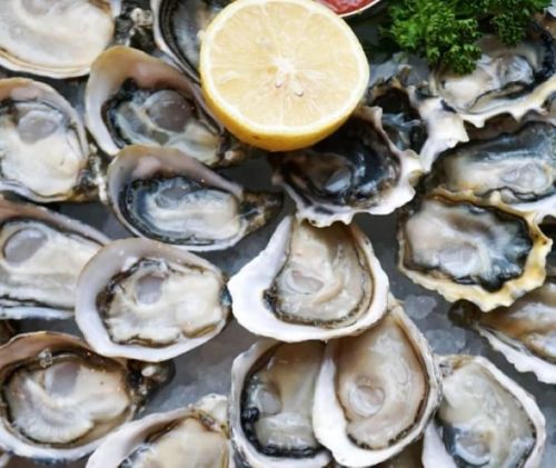A platter of fresh oysters on ice, garnished with lemon and parsley.