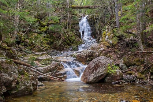A serene waterfall cascades over rocks, surrounded by lush greenery and trees in a tranquil forest setting.