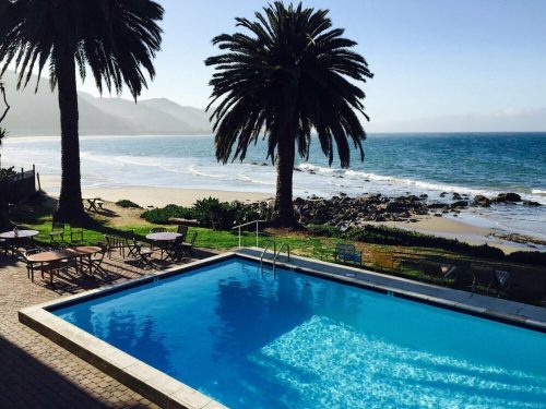 A serene poolside view with palm trees, overlooking a beach and ocean under a clear blue sky.