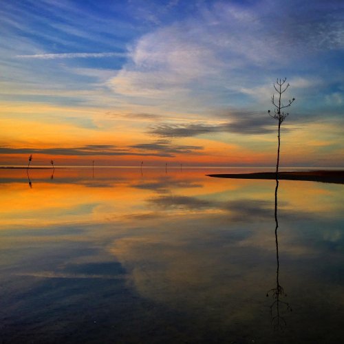 A serene sunset over calm waters, with a lone tree silhouetted against vibrant orange and blue skies.