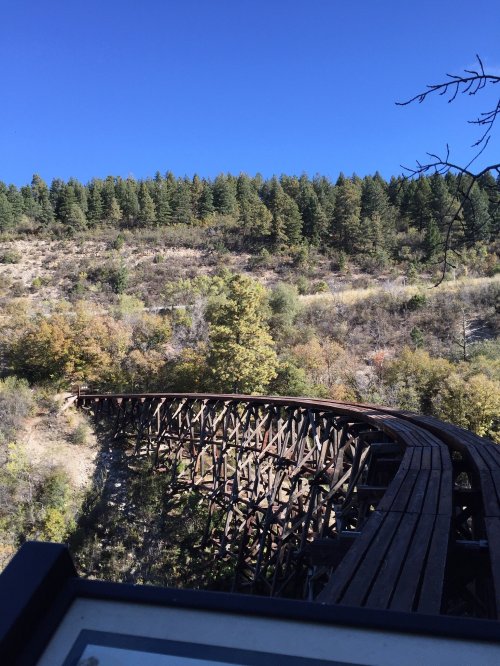 A wooden trestle bridge curves through a forested landscape under a clear blue sky.