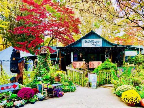 Charming café entrance surrounded by colorful flowers and autumn foliage, with a sign reading "Wildflower Café."