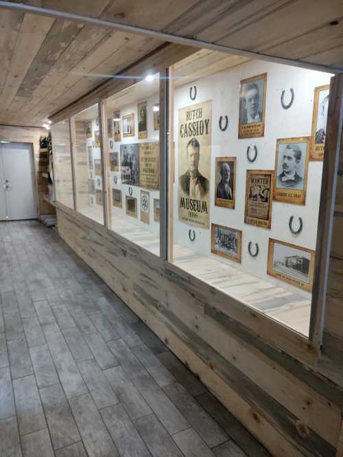 Display case featuring historical photos and artifacts related to Butch Cassidy, with wooden walls and horseshoes.