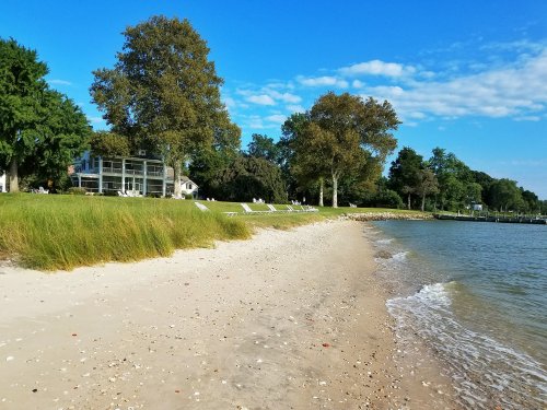 A serene beach scene with sandy shore, green grass, and trees under a clear blue sky. Gentle waves lapping at the shore.
