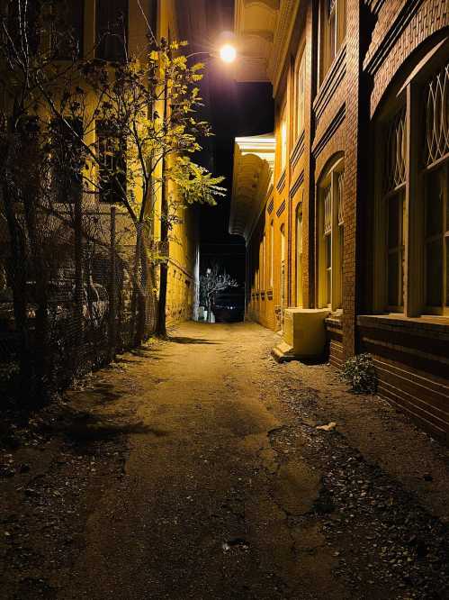 Narrow alley at night, illuminated by a streetlight, with brick buildings and sparse trees lining the path.