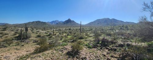 A desert landscape featuring cacti, rocky terrain, and distant mountains under a clear blue sky.