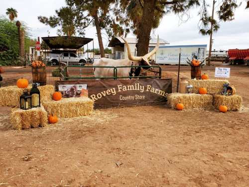 A rustic farm display with hay bales, pumpkins, and a sign for Rovey Family Farm Country Store. A longhorn steer is nearby.
