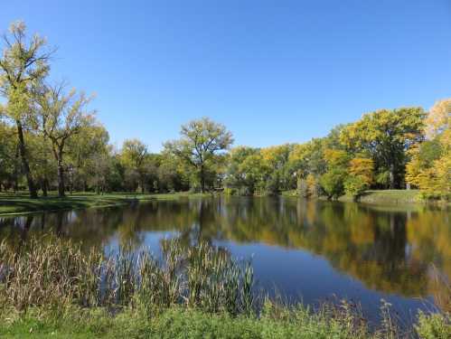 A serene pond surrounded by trees with vibrant autumn foliage under a clear blue sky.