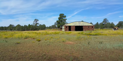 A rustic barn surrounded by a field of wildflowers and trees under a clear blue sky.