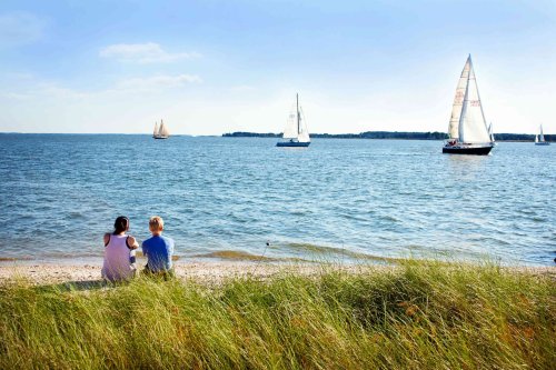 A couple sits on a beach, watching sailboats on a calm lake under a clear blue sky. Green grass frames the scene.