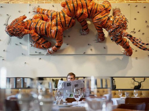 A man reads a newspaper in a restaurant with a large orange tiger sculpture hanging above him.