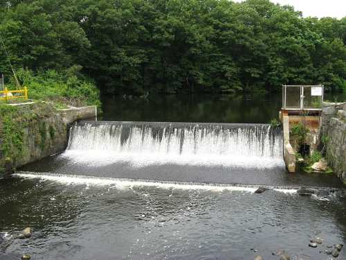 A small waterfall cascades over a dam into a calm river, surrounded by lush green trees.