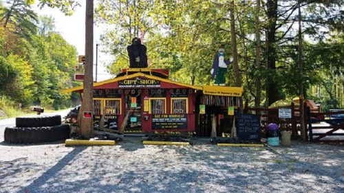 A colorful gift shop with quirky decorations, including a gorilla and clown, surrounded by trees and gravel road.