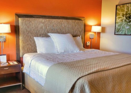 Cozy hotel room featuring a queen bed with white linens, orange accent wall, and bedside lamps.