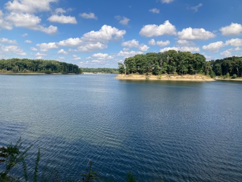 A serene lake surrounded by lush trees and a small island, under a bright blue sky with fluffy white clouds.