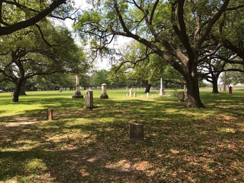 A serene park scene with large trees and several gravestones scattered across a grassy area.