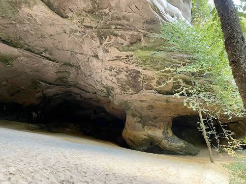 A sandy area beneath a large rock formation, with trees growing nearby and a shadowy cave-like opening.