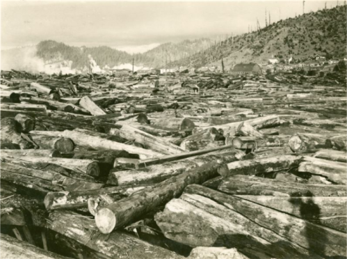 A black and white photo of a large log jam on a river, with mountains and a small settlement in the background.