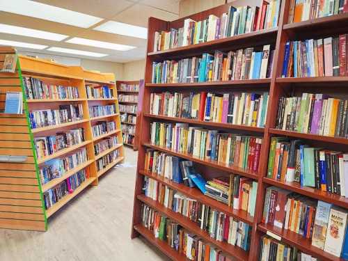 A cozy library interior with wooden bookshelves filled with various books and a bright, inviting atmosphere.