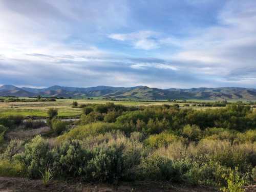 A scenic landscape featuring rolling green hills, lush vegetation, and a cloudy blue sky.