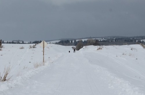 A snowy path stretches into the distance, with a person walking a dog under a cloudy sky.