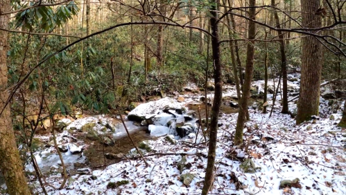 A serene forest scene with a small stream flowing through, surrounded by trees and a dusting of snow on the ground.