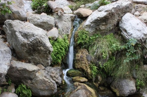 A small waterfall cascades over rocks, surrounded by lush green plants and moss.