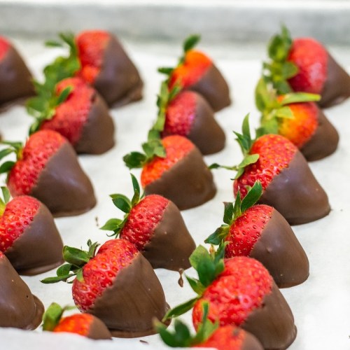 A close-up of chocolate-covered strawberries arranged neatly on a tray.