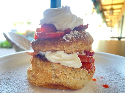 A delicious biscuit layered with strawberries and whipped cream, dusted with powdered sugar on a white plate.